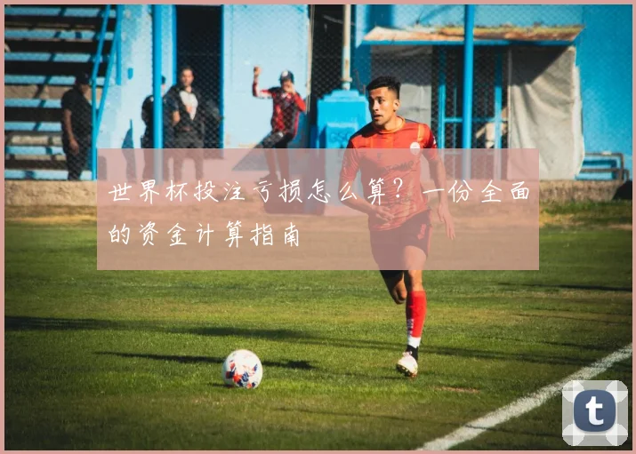 世界杯投注亏损怎么算？一份全面的资金计算指南