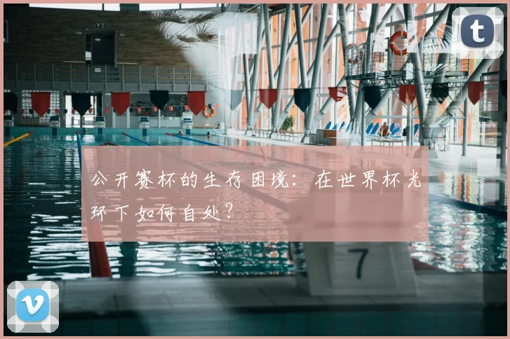 公开赛杯的生存困境：在世界杯光环下如何自处？