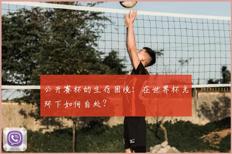 公开赛杯的生存困境：在世界杯光环下如何自处？